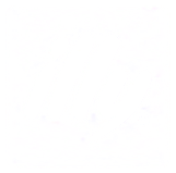 illy